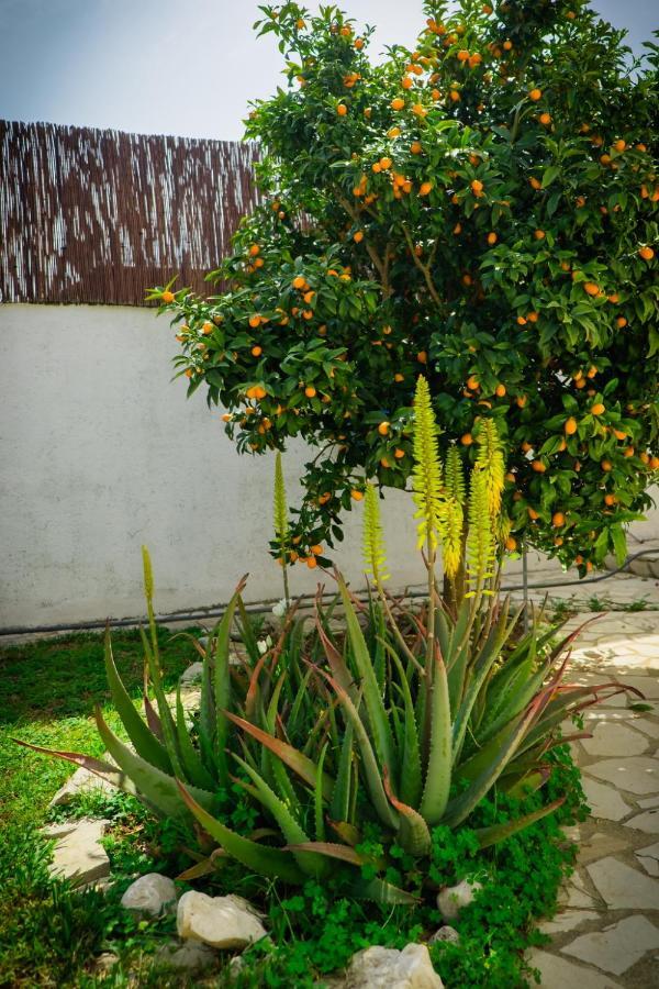 La Casita De Invitados Denia Kültér fotó
